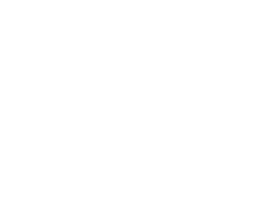 commercial and domestic renovation